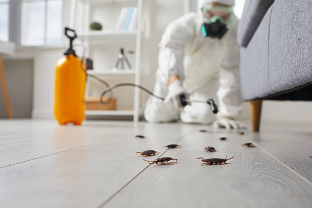 Post-Treatment Bed Bug Interceptor Monitoring in Venus